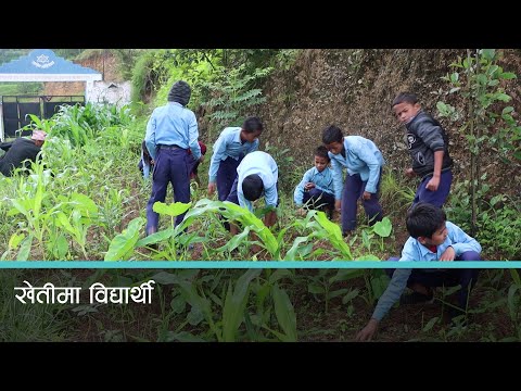 सल्यानको कालिका प्राविमा पढाईसँगै खेती गर्न सिकाइँदै 