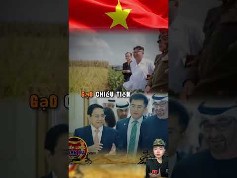 Gạo VIỆT NAM Có Thể Đổi Lấy Mọi Thứ #vietnam