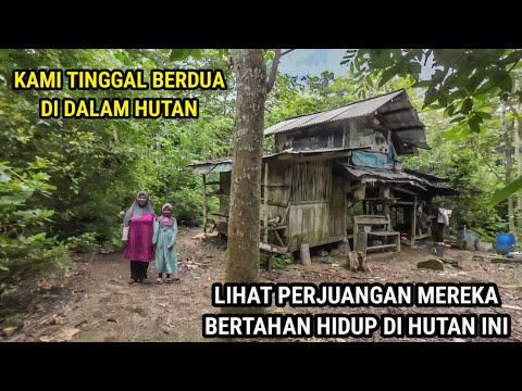 GADIS PEMBERANI TINGGAL BERDUA BERSAMA NENEK NYA DI DALAM HUTAN