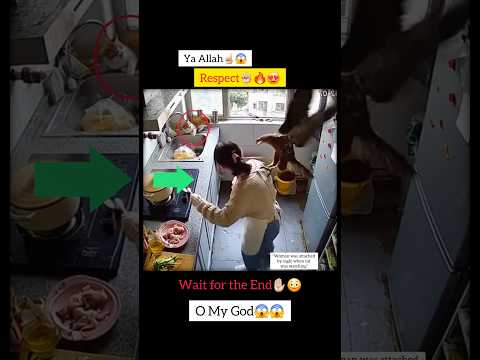 Cat saves her owner from eagle๐ฅ๐