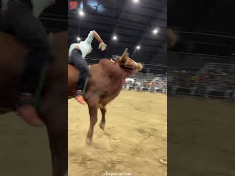 Una buena monta👏🤠 #jaripeo