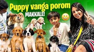 Next BIG STEP IN LIFE-Taking a huge responsibility|Help us decide- Dog vangalama venama|SowmyaMothi