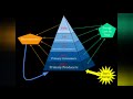 Energy Flow in Ecosystems