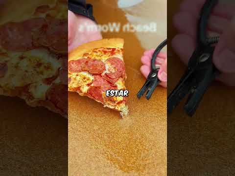 Ele Só Queria Comer Sua PIZZA ! 🍕😱 #curiosidades #bizarro #incrível #inesqueciveis #praia