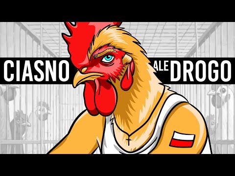 CHÓW KLATKOWY POLAKÓW 🐔🐔🐔