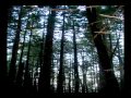 Biodiversidad y Recursos Naturales del Perú