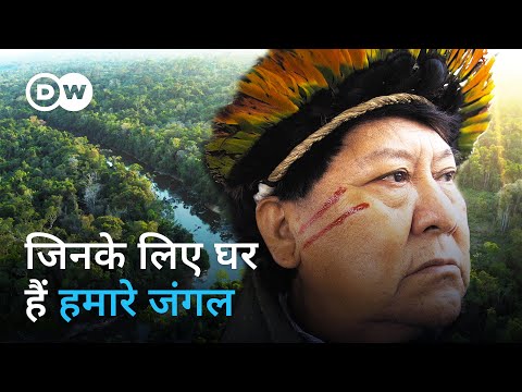 अमेजन के मूल निवासियों की लड़ाई [Yanomami tribe and Battle for the Amazon] | DW Documentary हिन्दी