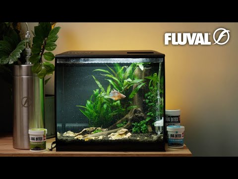 NEW YEAR, NEW TANK | Setting up a Flex 9 Aquarium