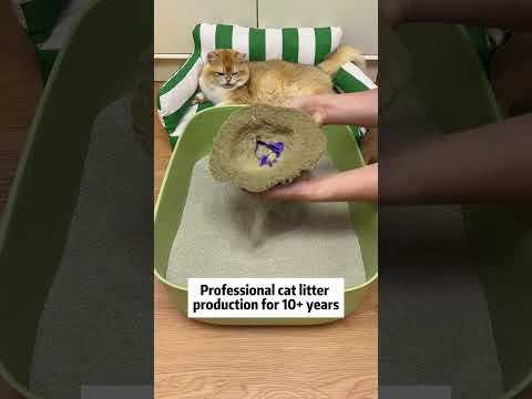 Cat litter factory in China. Mineral Cat Litter Supplier. Cat litter factory price #cat #pets