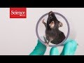 Lab Animal Enrichment Outcomes and Impacts