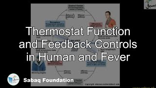 Thermostat Function and Feedback Controls in Human and Fever