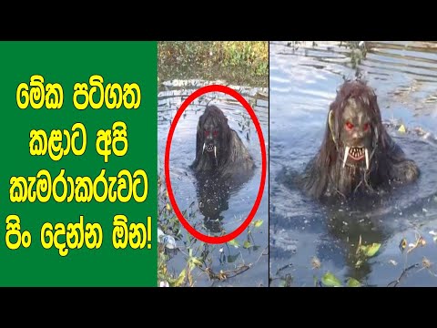 මේ අබිරහ​ස පටිගත කරගත්ත කෙනාට මල් තියලා වදින්න ඕන! ‍| Videos That'll Make You Question Everything