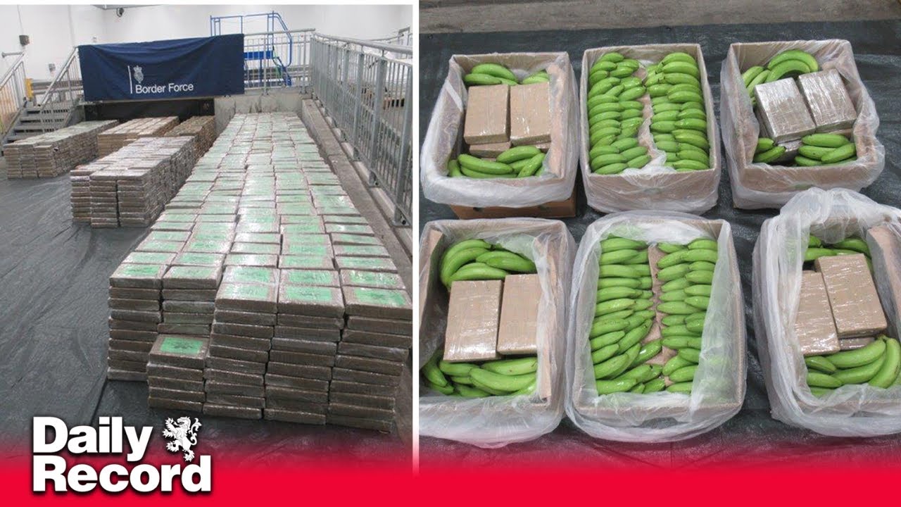 Massive UK drugs bust sees largest class A haul worth £450 million found in banana shipment