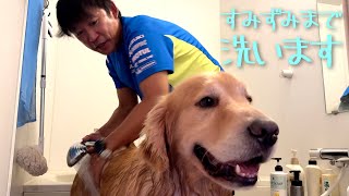 まったく参考にならない犬の洗い方2025