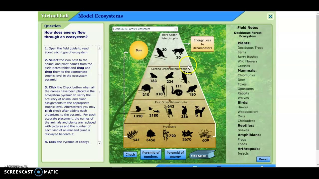 Model Ecosystems Virtual Lab: Exploring the Wonders of Virtual Ecological Simulations