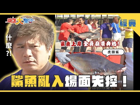【綜藝大集合 經典】董哥變活魚？！鯊魚亂入場面失控🦈！她即將面對什麼樣的處罰🫣？ 台中 2025.6.20