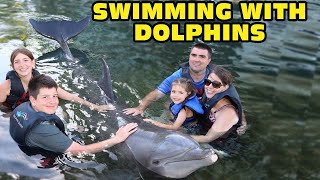 Kids Swimming With Dolphins ( Dolphin Quest ) RAW FOOTAGE