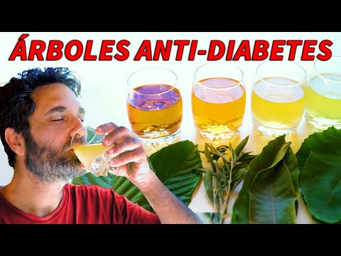 6 ARBOLES para la DIABETES: bajan el AZUCAR y Aumentan la INSULINA