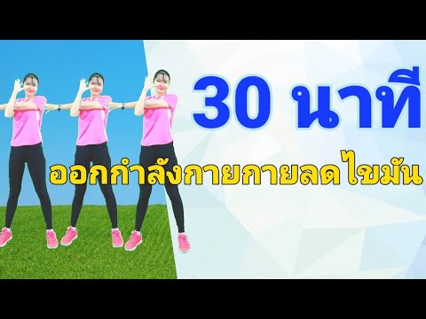 แอโรบิคง่ายๆออกกำลังกายลดไขมัน30นาที