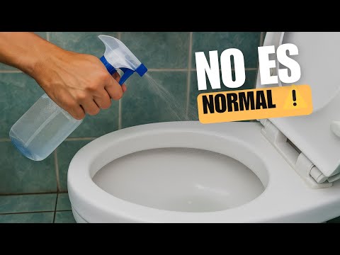 ¡Cómo ELIMINAR RÁPIDAMENTE el OLOR A ORINA del SOFÁ, la CAMA y el BAÑO! 😨
