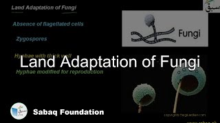 Land Adaptation of Fungi