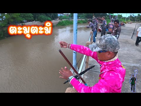 ตะมุตะมิวนไป