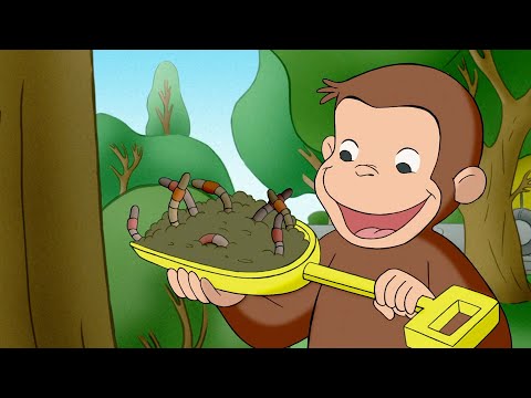 ¡La búsqueda de lombrices de Jorge! | Jorge El Curioso En Español