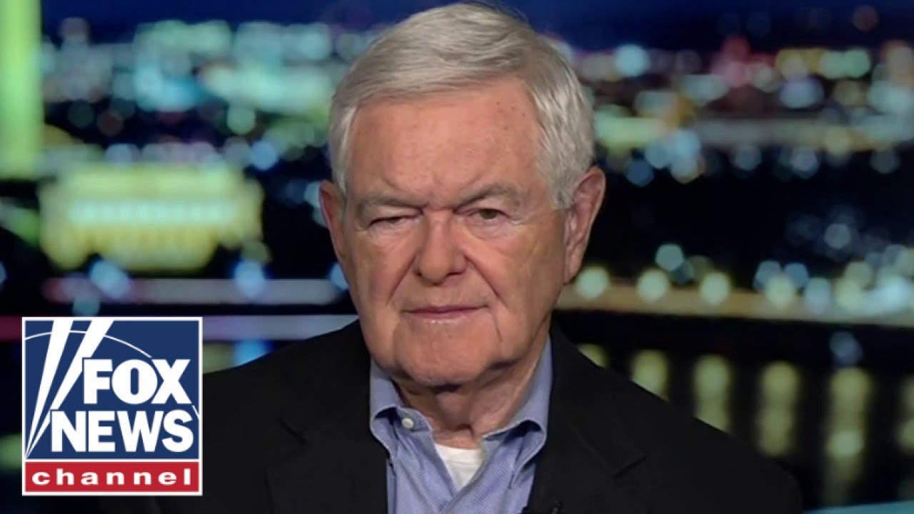 Newt Gingrich: This is destroying American identity