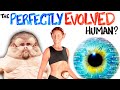 Human Evolution and Anatomy Concepts