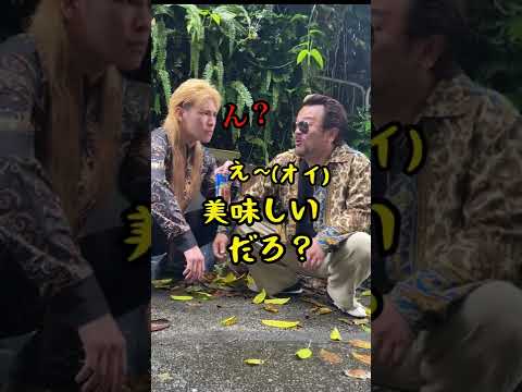 いつの間にか仲良くなっちゃう沖縄ヤンキー #short