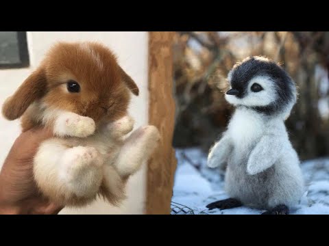 AWW Animals SOO Cute! Cute baby animals Videos Compilation cute moment of the animals #3
