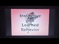 Animal Behavior: Instincts vs. Learning