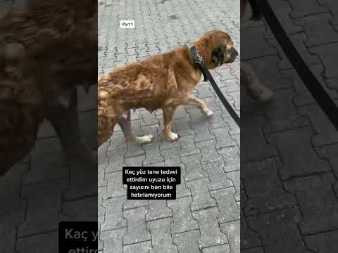 Para mama kabul etmiyorum tesekurler RAB icin hersey