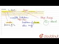 Fermentation and Anaerobic Respiration