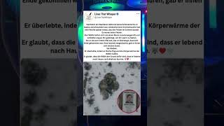 Wölfe fanden einen vermissten Wanderer im Alaska-Schneesturm … Was sie dann taten, ist unglaublich 🐺