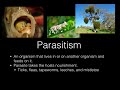 Species Interactions and Adaptations