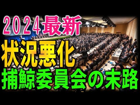 【海外の反応】捕鯨問題の深層に迫る！IWCの矛盾と各国の思惑とは？韓国の驚くべき主張。科学的根拠vs感情論、日本の決断の裏側と世界への影響を分析。