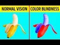 Understanding Colorblindness and Vision Deficiencies