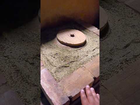 വീട്ടിൽ  മണൽ കൊണ്ട് ഉണ്ടാക്കിയ ഫ്രിഡ്ജ്?Eco Fridge made up of sand #shorts