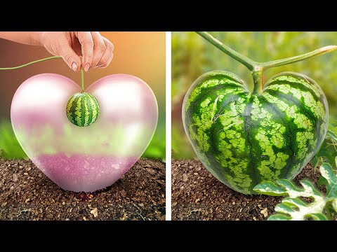 Temukan Kiat Berkebun Baru untuk Musim Semi ๐ฅ๐ฑ๐ทIde Cantik untuk Bunga dan Sayuran yang Berlimpah
