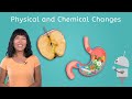 Chemical and Physical Changes in Matter