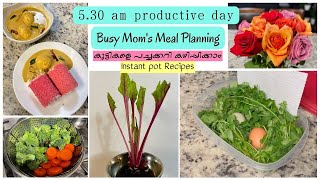 Weekly Meal Plan and Prep | കുട്ടികളെ പച്ചക്കറി കഴിപ്പിക്കാനുള്ള സൂത്ര പണികൾ | Instant pot Recipes