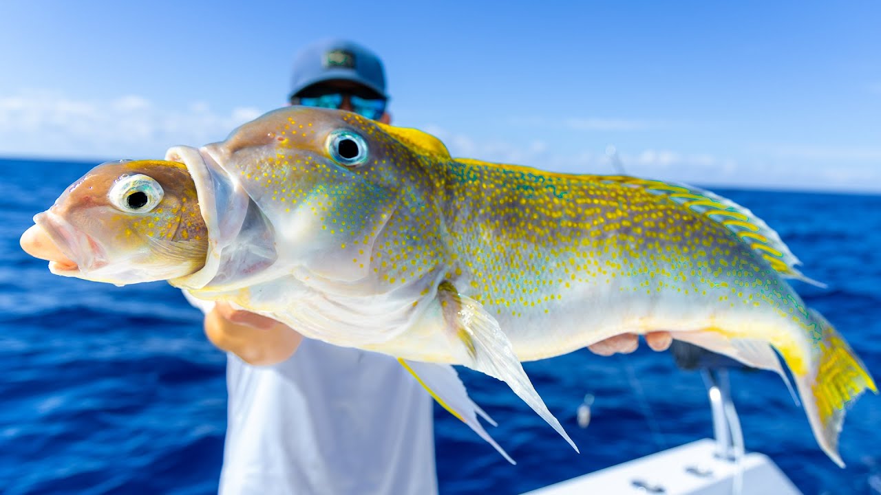 The HUNGRIEST Deep Sea Fish. Catch Clean Cook (Golden Tilefish)