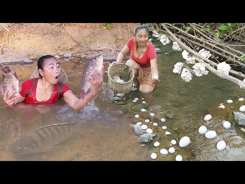 Catch fish in river, Fish soup chili tasty for lunch, Cooking mushroom with egg, Chicken soup spicy