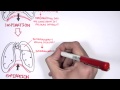 Respiratory System Mechanics