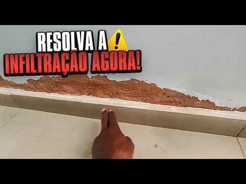 Parede com Infiltração? Veja o Que Fazer Para Resolver de Vez!