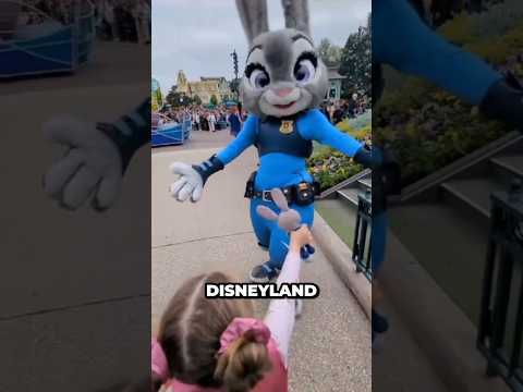 Tres Reglas De Disneyland Que Suenan Falsas
