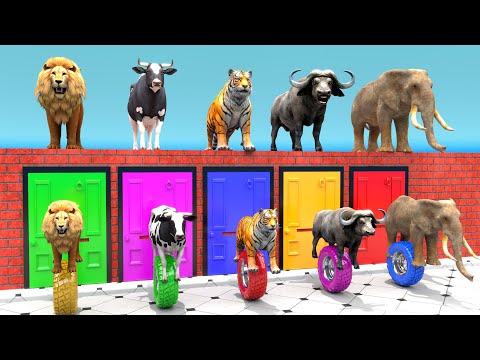 Cow Mammoth Elephant Tiger Buffalo Guess The Right Door ESCAPE ROOM CHALLENGE Animals Tire Game