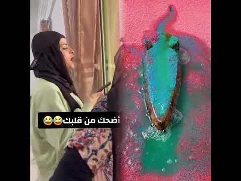 🤣👌👌👌2025 pov Must-Watch Crazy Clips Compilation #humor #fypシ #pov #fyp #foryou