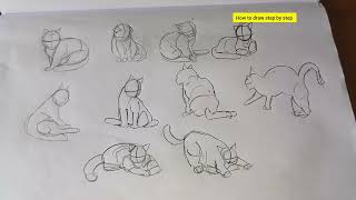 Cat Anatomy Study | Understanding Feline Structure & Movement 🐈✏️